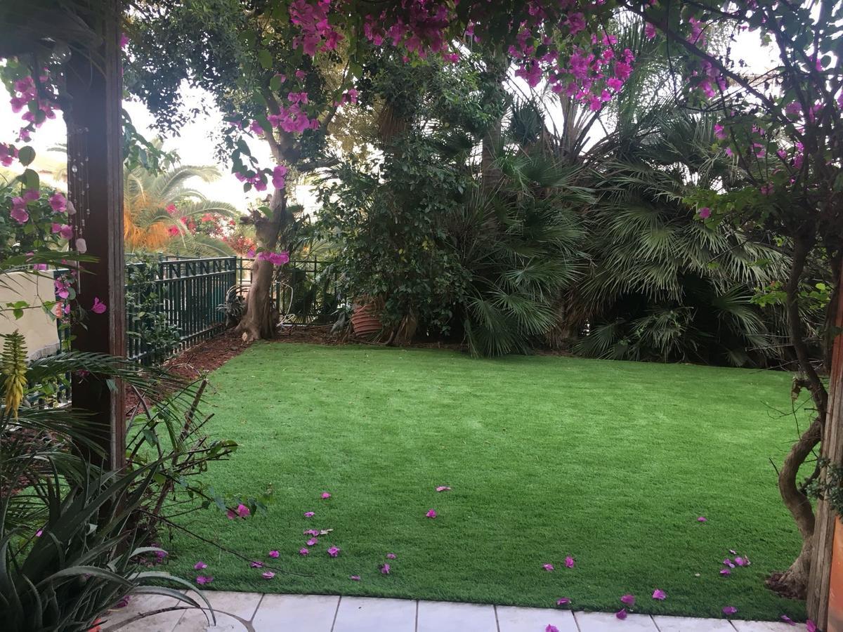 Pool & Garden Aparthotel Rehovot ภายนอก รูปภาพ